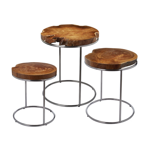 Dimond Home Wood & Metal Nesting Tables – Set of 3 (Natural Woodtone & Silver)