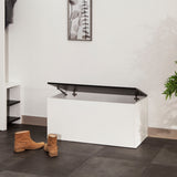 Symbiosis Knight Shoe Storage Bench