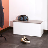 Symbiosis Knight Shoe Storage Bench