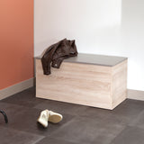 Symbiosis Knight Shoe Storage Bench