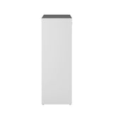 Symbiosis Pure Console