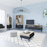 Symbiosis Horizon TV Stand