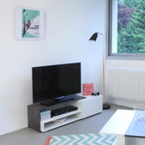 Symbiosis Briks 120 TV Stand