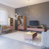 Symbiosis Horizon TV Stand