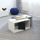 Symbiosis Box Coffee Table