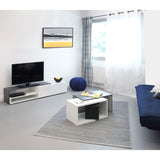 Symbiosis Box Coffee Table