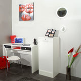 Symbiosis Avrel 106 CM Vertical File Cabinet