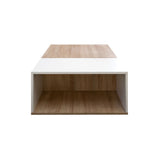 Symbiosis Boston Coffee Table