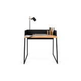 The TemaHome Volga Desk 9003.052965