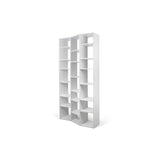 Tema Valsa Composition 2012-007 Bookcase