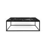 The TemaHome Prairie 47X30 Marble Coffee Table 9500.623097