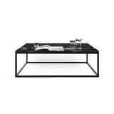 Tema Prairie 47X30 Marble Coffee Table