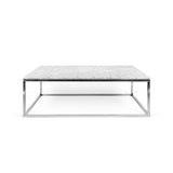 The TemaHome Prairie 47X30 Marble Coffee Table 9500.624919