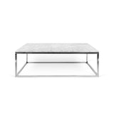The TemaHome Prairie 47X30 Marble Coffee Table 9500.624919