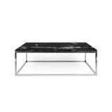 The TemaHome Prairie 47X30 Marble Coffee Table 9500.624926