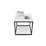 The TemaHome Prairie 20X20 Marble End Table 9500.625015
