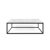 The TemaHome Prairie 47X30 Marble Coffee Table 9500.625046