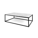 Tema Prairie 47X30 Marble Coffee Table