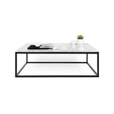 Tema Prairie 47X30 Marble Coffee Table