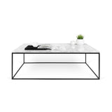 Tema Gleam 47x30 Marble Coffee Table