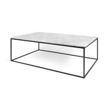 Tema Gleam 47x30 Marble Coffee Table