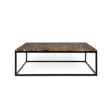 The TemaHome Prairie 47 X 30" Marble Coffee Table 9500.626272