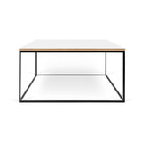 Tema Gleam 30x30 Coffee Table