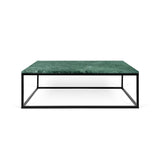 The TemaHome Prairie 47 X 30" Marble Coffee Table 9500.626692
