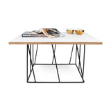 Tema Helix 30x30 Coffee Table with Black Steel Legs