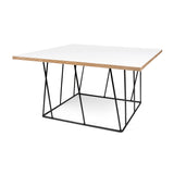 Tema Helix 30x30 Coffee Table with Black Steel Legs