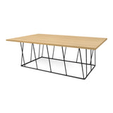 Tema Helix 47x30 Coffee Table with Black Steel Legs