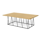 Tema Helix 47x30 Coffee Table with Black Steel Legs