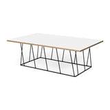 Tema Helix 47x30 Coffee Table with Black Steel Legs