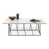 Tema Helix 47x30 Coffee Table with Black Steel Legs