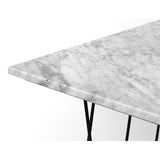 Tema Helix 47x30 Marble Coffee Table with Black Steel Legs