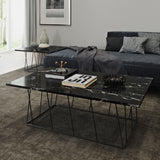 Tema Helix 47x30 Marble Coffee Table with Black Steel Legs