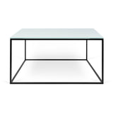 The TemaHome Gleam 30x30 Glass Coffee Table 9500.628214