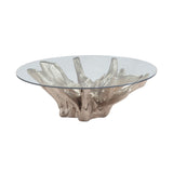 Dimond Home Champagne Wood Root & Glass Coffee Table (Gold & Clear Top)